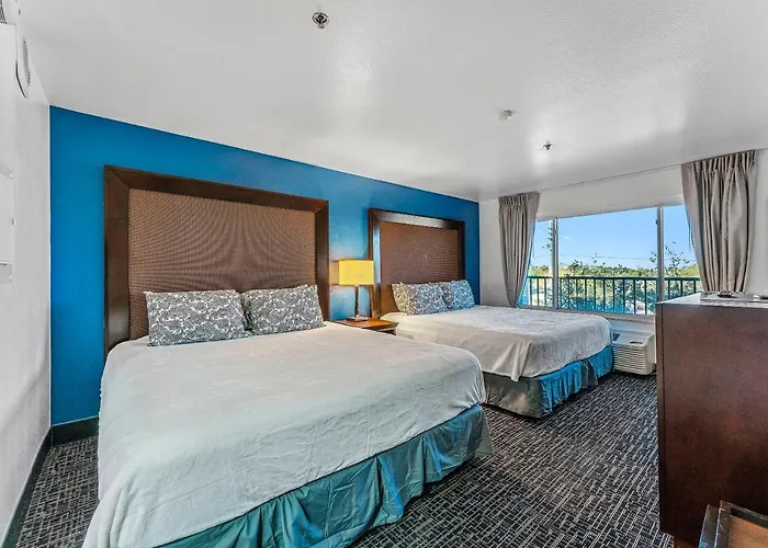 Metro Tempe Apartments Studio W Two King Beds