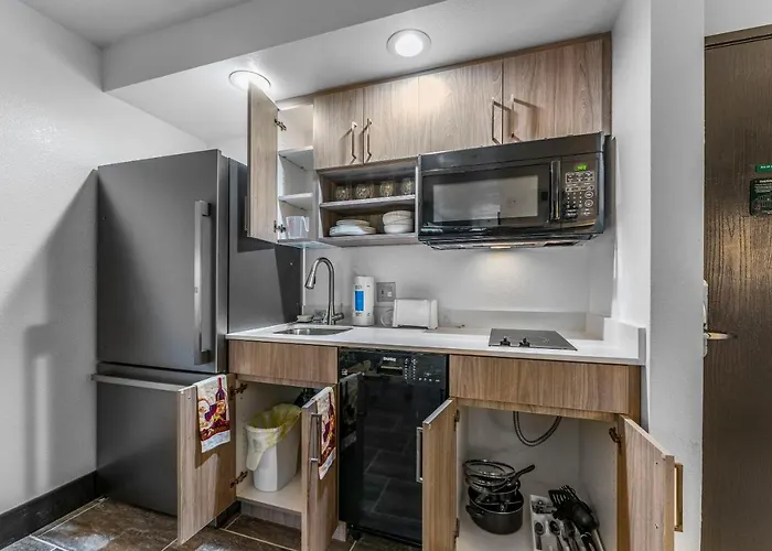 Metro Tempe Apartments Studio W Two King Beds